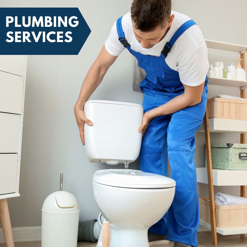 Plumbing Company in Fruitland, MD